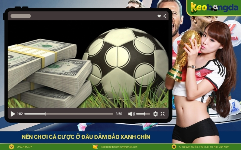 Nên Chơi Cá Cược Ở Đâu Đảm Bảo Xanh Chín