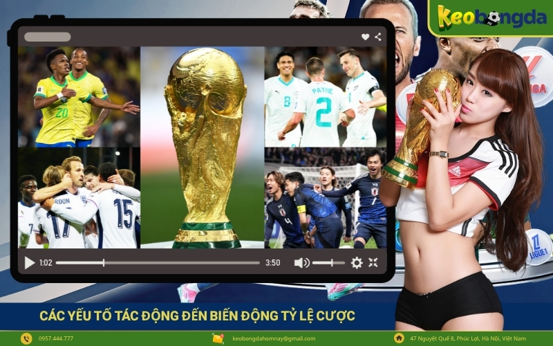 Các Yếu Tố Tác Động Đến Biến Động Tỷ Lệ Cược
