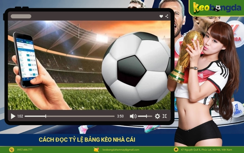 Cách Đọc Tỷ Lệ Bảng Kèo Nhà Cái